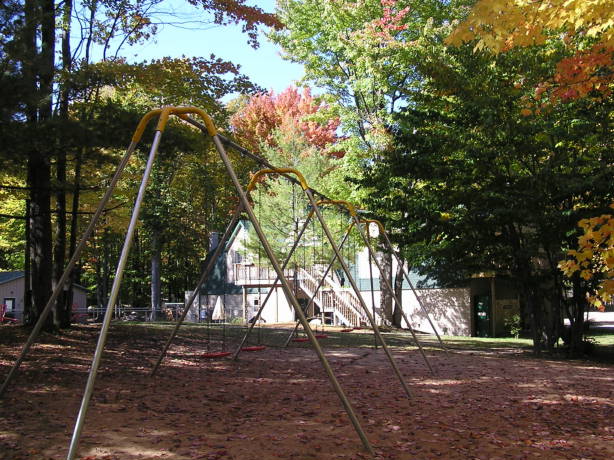 swings